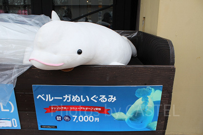 笑っているような口元がかわいいベルーガのぬいぐるみ