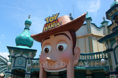 大きなウッディの顔が目印