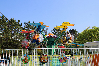 バタフライダー