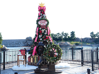 ケープコッドのクリスマスツリー