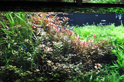 CAVEはじまりの洞窟／神戸アートミュージアムアトア