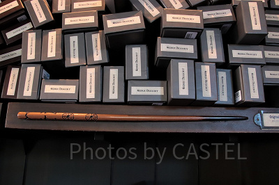 セドリック・ディゴリーの杖