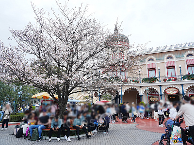 スウィートハート・カフェ前の桜
