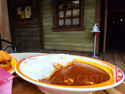 ディズニーランド食べ物:チキンカレー