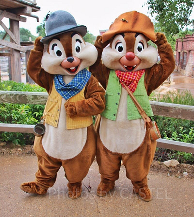 チップとデールのペアグリ