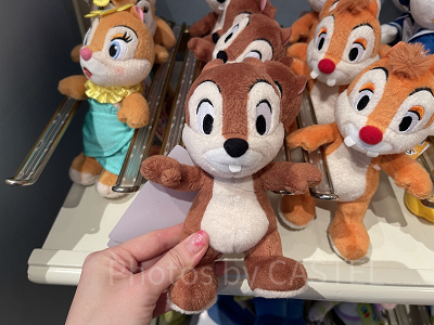 チップポージープラッシー
