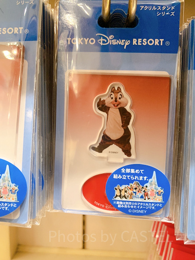 東京ディズニーリゾート 実写 アクリルスタンド アクスタ