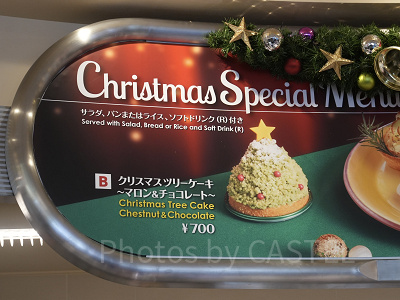クリスマスツリーケーキ ～マロン＆チョコレート