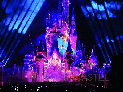 シンデレラ、プリンス・チャーミング