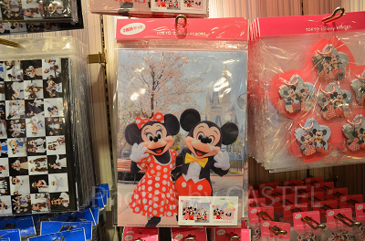 クリアホルダーセッ