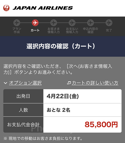 選択内容の確認（JAL）