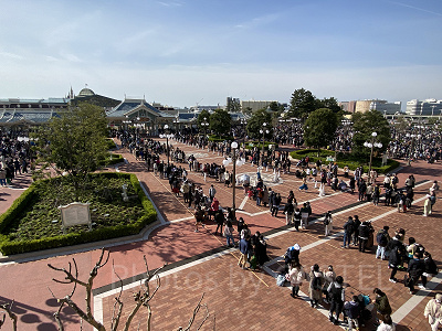 ディズニーランドの混雑の様子