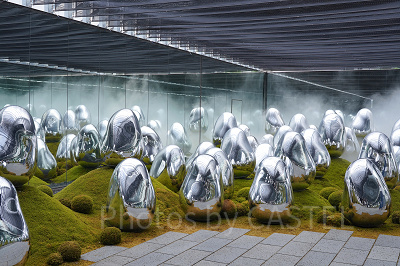 呼応する小宇宙の苔庭 - 固形化された光の色, Sunrise and Sunset