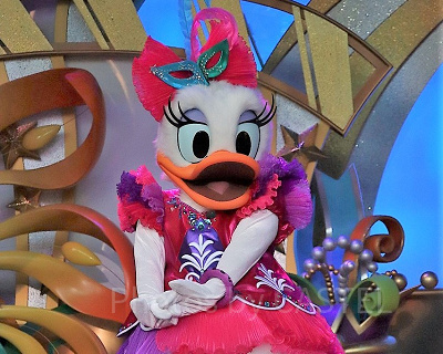 デイジーダック