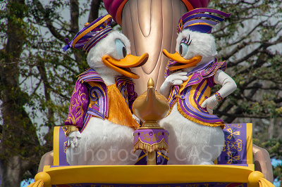 デイジーダックの性格