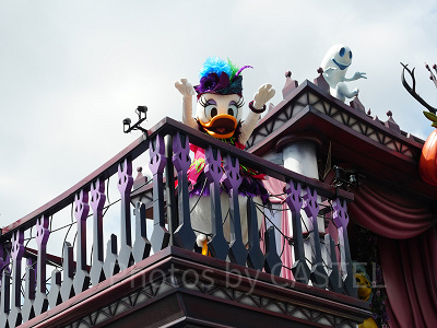 フロート後方にはデイジーが乗っています！