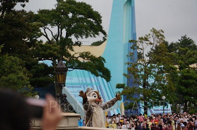 デールの耳にはデールの耳にフィットするレインコート