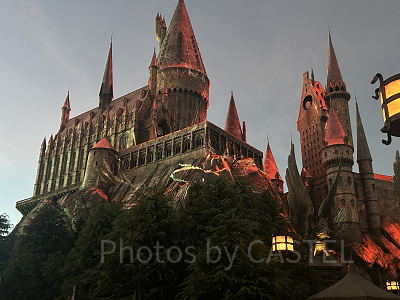 デス・イーター～ホグズミードの危機～で映し出されるアクロマンチュラ