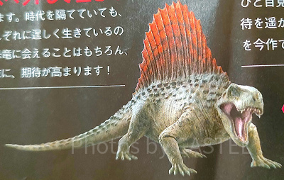 ディメトロドン