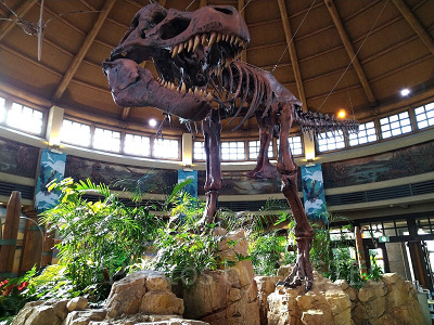USJのディスカバリー・レストラン