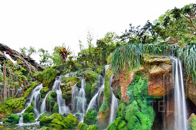 ディズニーアニマルキングダム(ウォルト・ディズニー・ワールド)