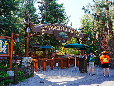 ディズニーカルフォルニアアドベンチャーのアトラクション：レッド・ウッド・クリーク・チャレンジ・トレイル