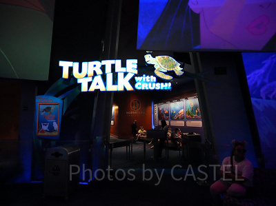 ディズニーカルフォルニアアドベンチャーのアトラクション：タートルトーク