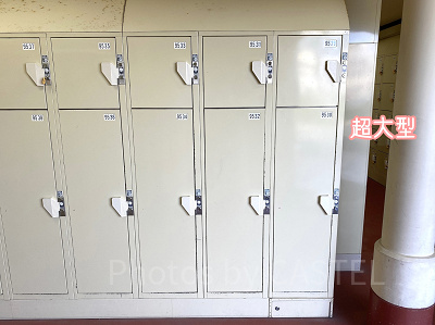 ディズニーのコインロッカー超大型