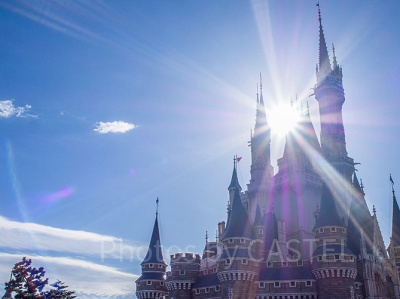 2020年1月のディズニー混雑予想