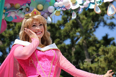 「ディズニー仮装プラス」:プログラム参加のルール