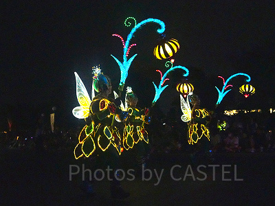 ディズニー・フェアリーズ(ダンサー)