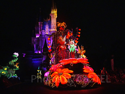 ディズニー・フェアリーズ