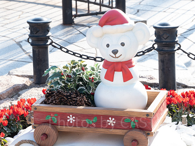 冬のディズニー