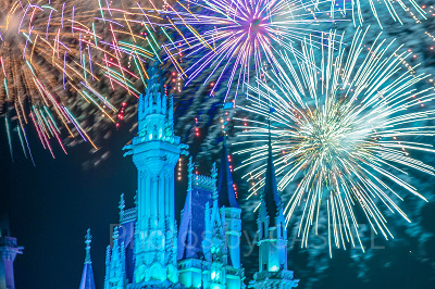 ディズニー・ライト・ザ・ナイト