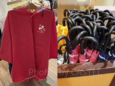 雨の日のディズニーはカッパ？傘？それぞれのメリットとデメリットも◎