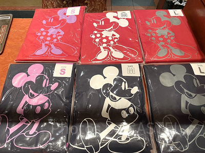 雨の日のディズニー