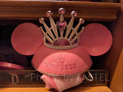 ゆ*ゆ様 【】ディズニー　ftw イヤーハット 2026】アナハイム限定イヤーハット7選！名入れ刺繍の値段と注文方法を