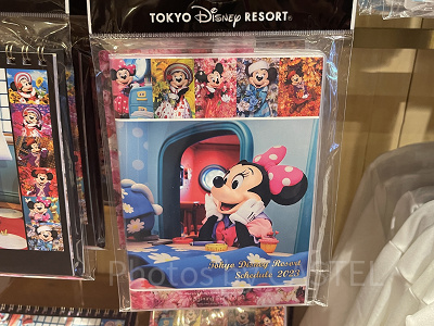 2019】ディズニーのカレンダー&スケジュール帳！壁かけ・卓上