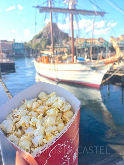 ディズニーシー食べ物：ポップコーン（ガーリックシュリンプ味）