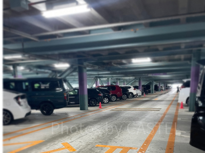 ディズニーシーの駐車場の様子