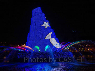 ディズニーシーのショー