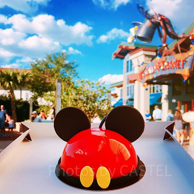 元キャスト直伝！】ウォルトディズニーワールド徹底ガイド！WDW