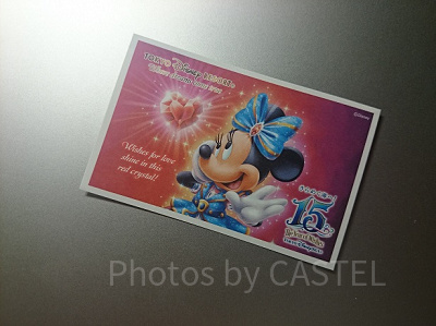 ディズニーランドディズニーシースターライトパスポート小人1枚 ディズニースターライトパスポートを使った15時からの楽しみ方 | 社会