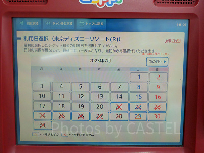  ディズニーチケットの購入画面（ローソン）