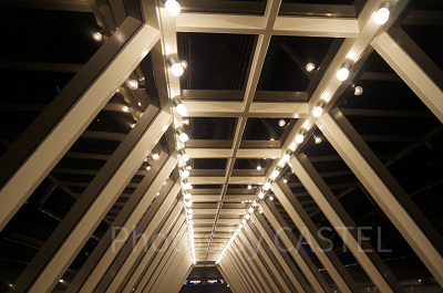 ディズニーランドのアトラクショントリビアまとめ