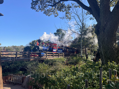 ディズニーランド混雑状況の現地レポート：絶好の写真スポットになったクリッターカントリー
