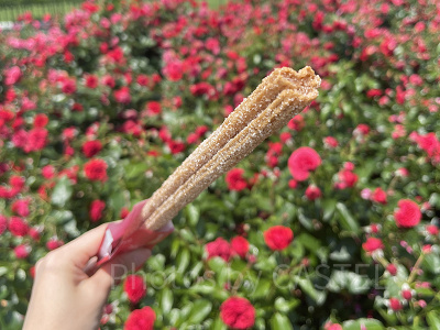 ディズニーランド食べ歩き：ミッキーチュロス（シナモン）