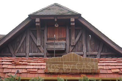 ディズニーランドクイズ【ニューファンタジーランド】