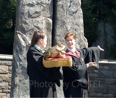 「フロッグ・クワイア」は原作にも登場するの？