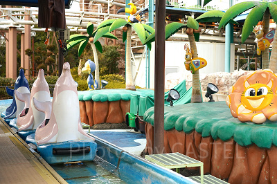 ドルフィンパラダイス